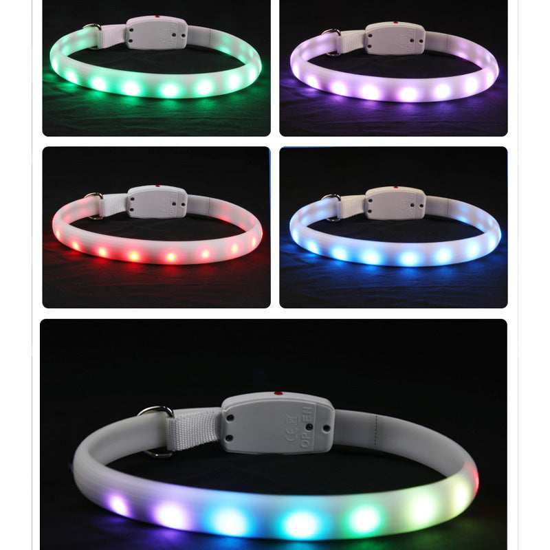 USB Rechargeable Pet LED Glowing Collar