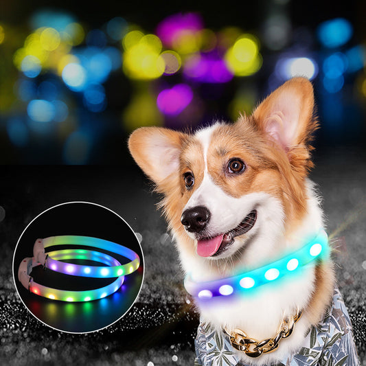 USB Rechargeable Pet LED Glowing Collar
